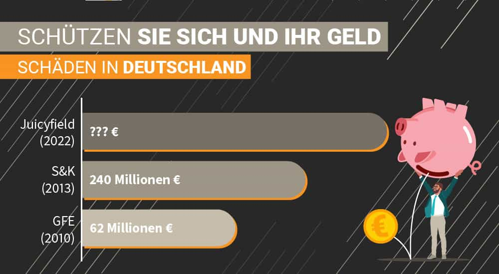 Ein Diagramm von den höchsten Schäden von Schneeballsystemen in Deutschland.