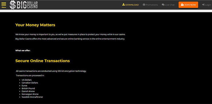 Zahlungsmöglichkeiten bei Big Dollar Casino