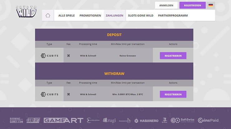 Zahlungsmöglichkeiten bei cryptowild