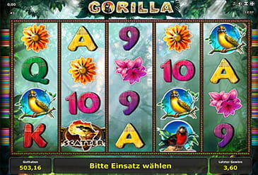 Gorilla um echtes Geld spielen