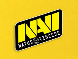 Das Logo von Natus Vincere.
