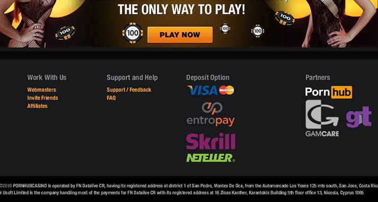 Die Zahlungsvarianten im Pornhub Casino in der Uebersicht