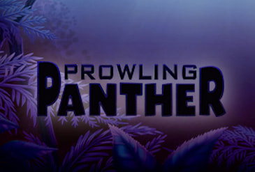 Der Online Casino Spielautomat Prowling Panther.