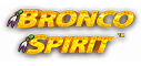 Bronco Spirit Slot Logo.