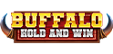Buffalo Hold and Win Slot Logo.