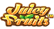 Juicy Fruits Slot Logo.