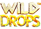 Wild Drops Slot Logo.