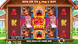 Der Slot The Dog House.