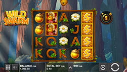 Der Slot Wild Swarm.