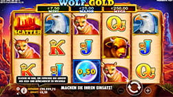 Wolf Gold in Spin Away.