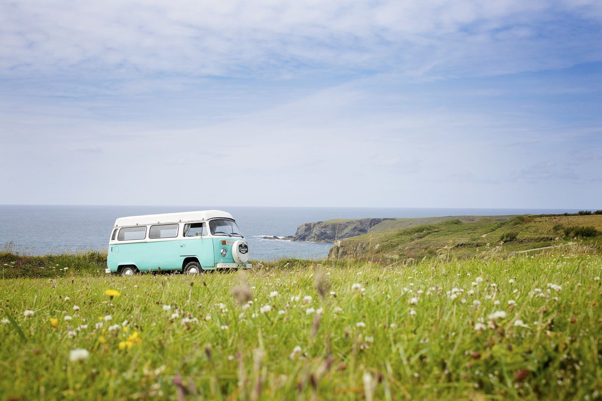 VW-Bus auf einer Wiese.