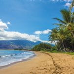 Beach Landscape auf Hawaii.