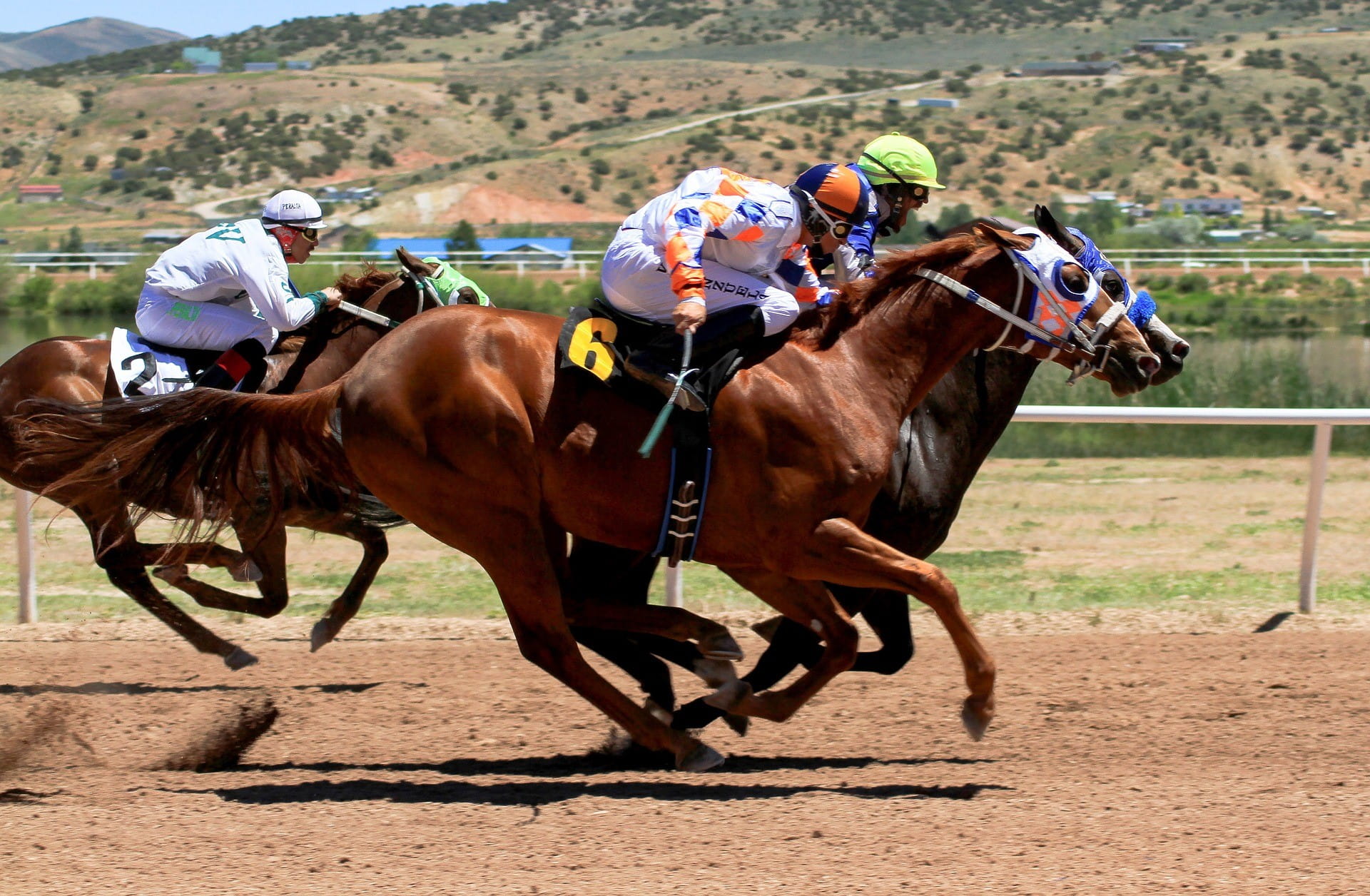 Pferderennen mit drei Pferden – zwei hiervon liefern sich ein knappes Rennen um die Spitze.