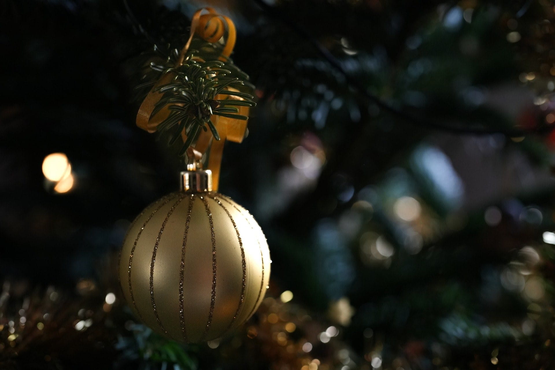 Eine goldene Weihnachtskugel mit Schleife und Tannenzweig verziert hängt am Baum.