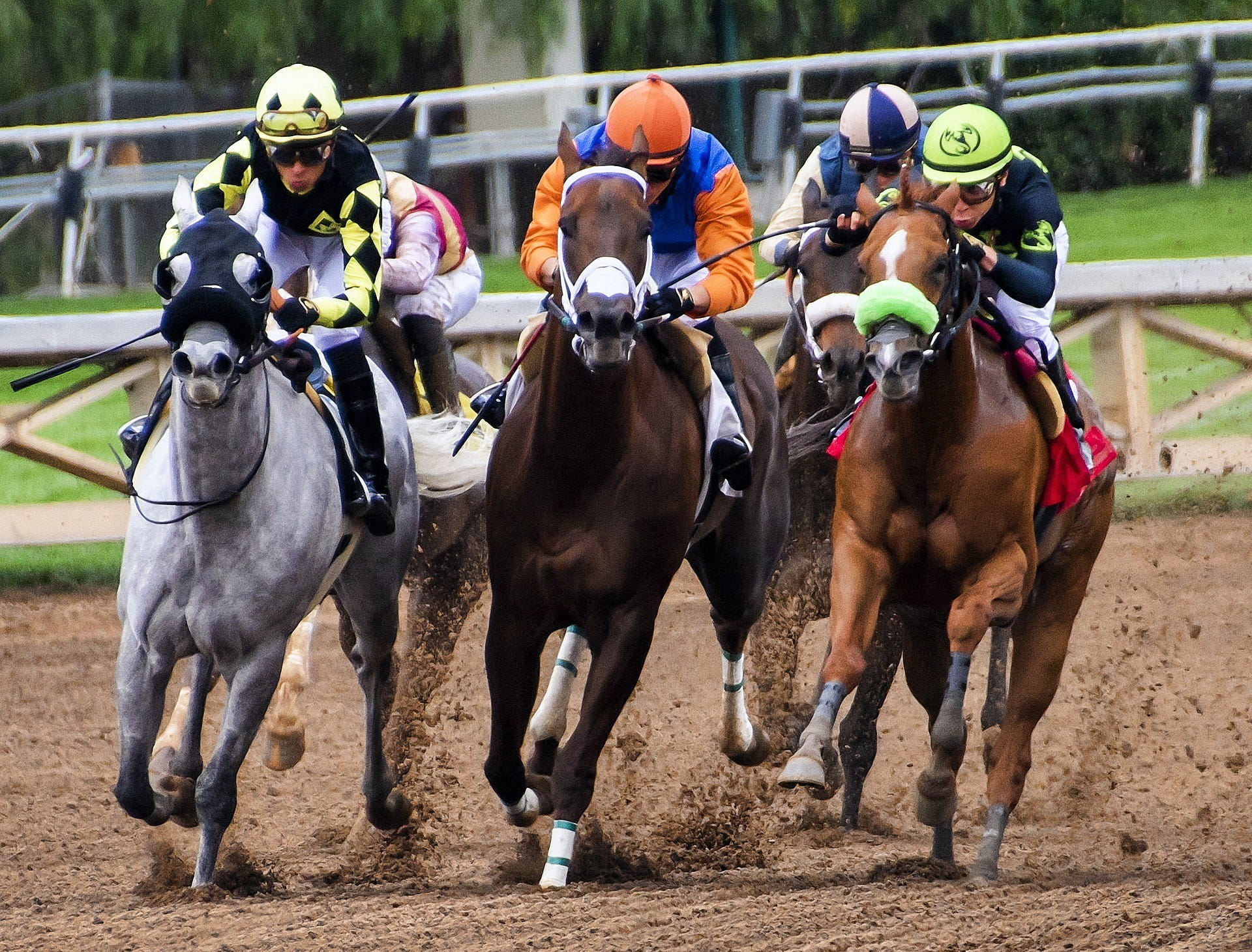 Fünf Pferde mit Jockey während eines Pferderennens.