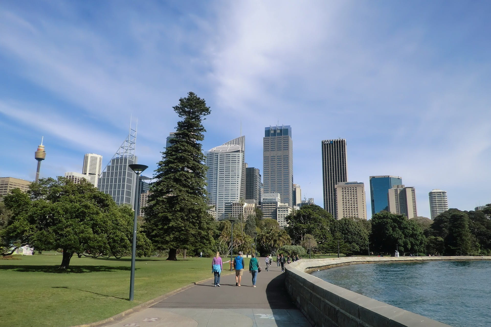 Spaziergänger im Park von Sydney vor einigen Hochhäusern.