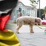 Die Flagge von Deutschland, daneben ein Hund mit einer Frau, die den Hundekot aufhebt.