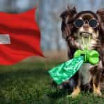Die Flagge der Schweiz mit einem Hund daneben, der Kotbeutel in seinem Maul trägt.