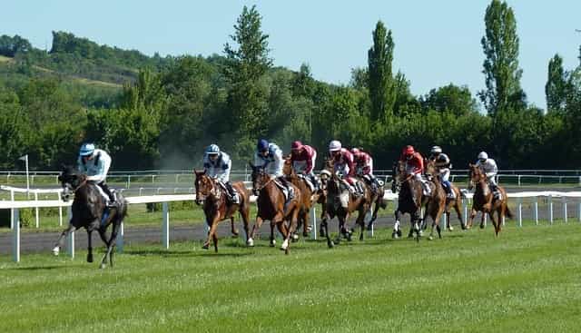 Neun Pferde kämpfen bei einem Rennen um den Sieg.
