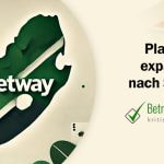 Minimalistische Illustration einer Partnerschaft zwischen Play'n GO und Betway für den südafrikanischen Markt - Erstellt mit AI durch Betrugstest Prompt.